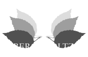 Logo Berckholtz-Stiftung